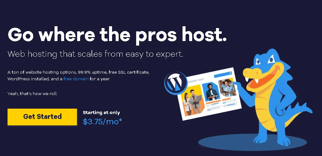 HostGator budget hosting